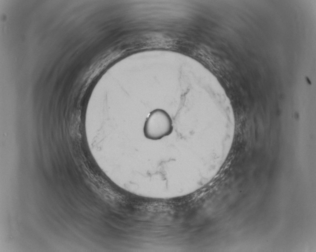 X0000064060146200601271301