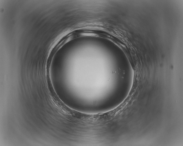 X0000064060148200601271301