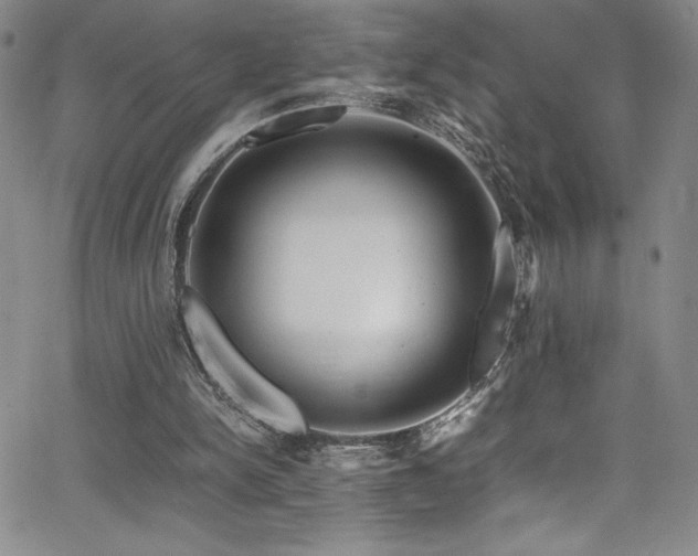 X0000064060150200601271301
