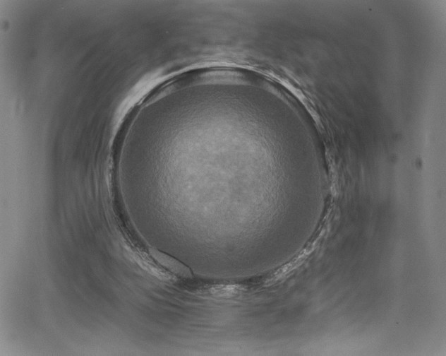 X0000064060152200601271301