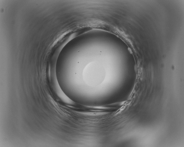 X0000064060154200601271301
