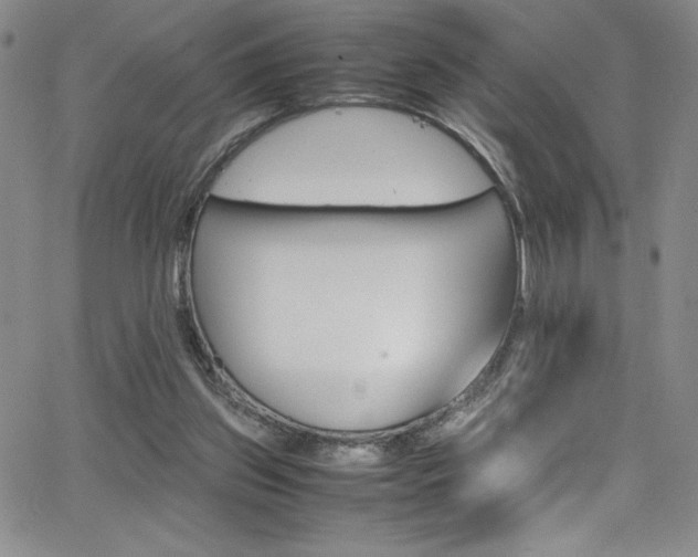 X0000064060157200601271301