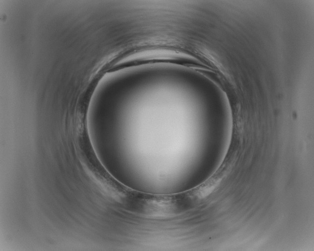 X0000064060164200601271301