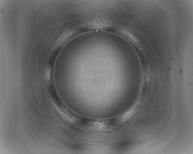 X0000064060166200601271301