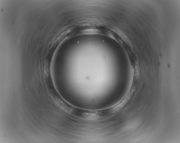 X0000064060170200601271301