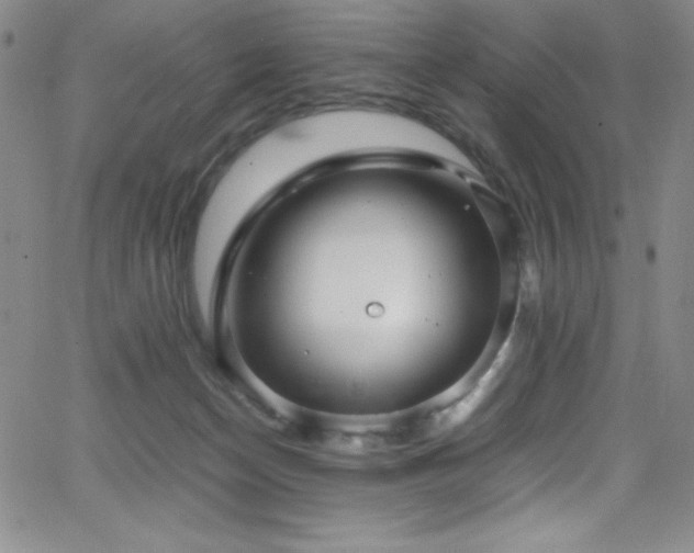 X0000064060174200601271301