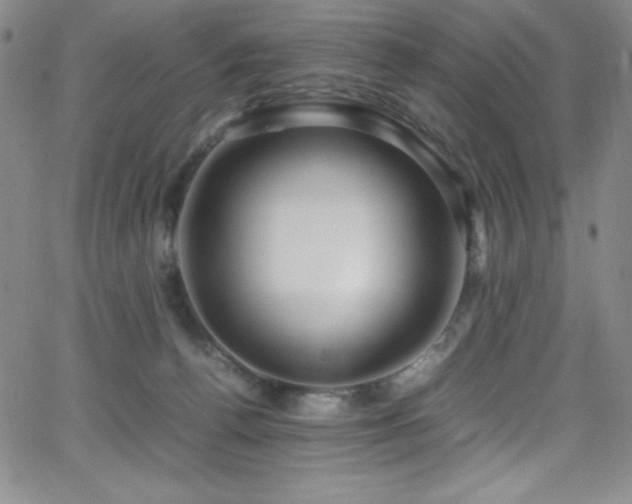 X0000064060176200601271301