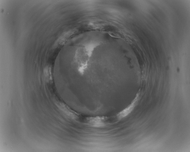 X0000064060182200601271301
