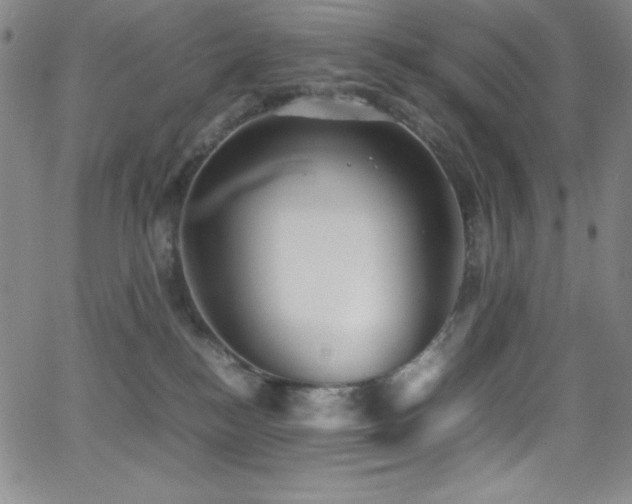 X0000064060184200601271301