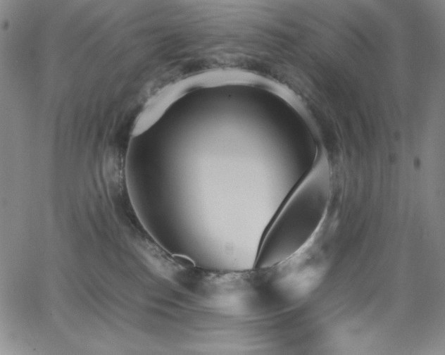 X0000064060186200601271301