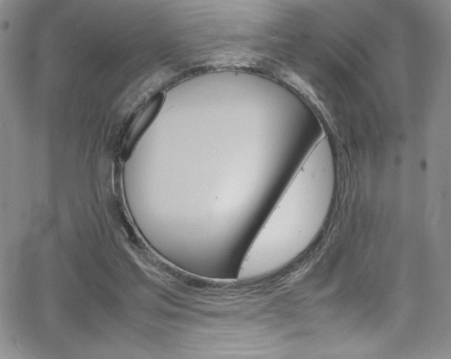 X0000064060205200601271300