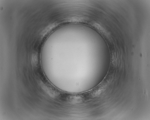 X0000064060208200601271300