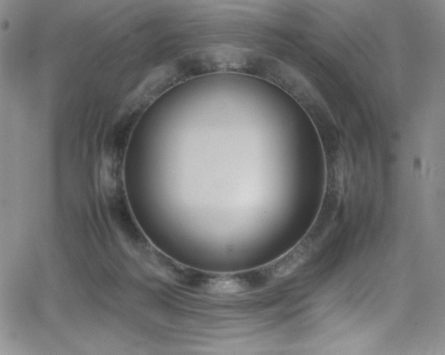 X0000064060218200601271300