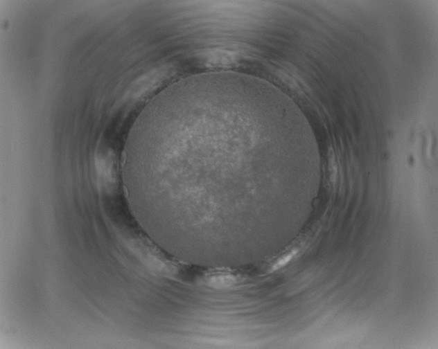 X0000064060228200601271300