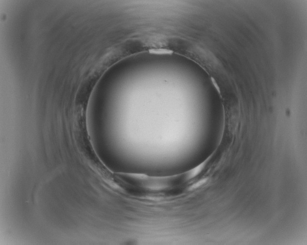 X0000064060229200601271300