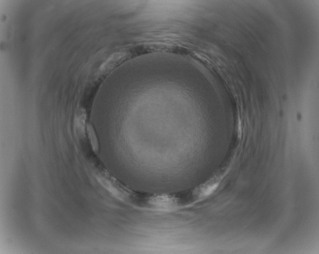 X0000064060231200601271300