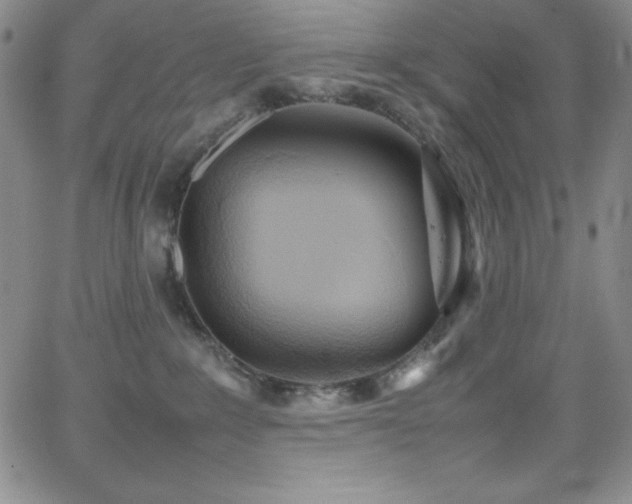 X0000064060235200601271300