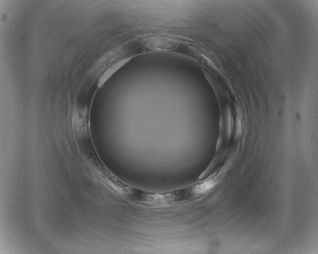 X0000064060239200601271300