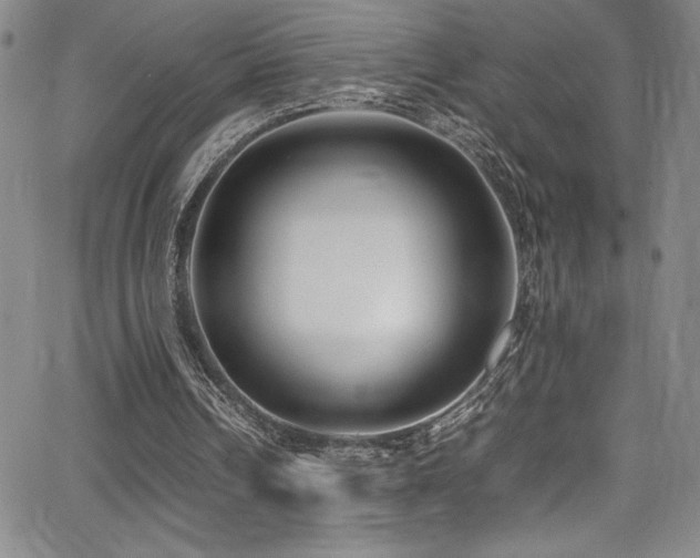 X0000064060242200601271259