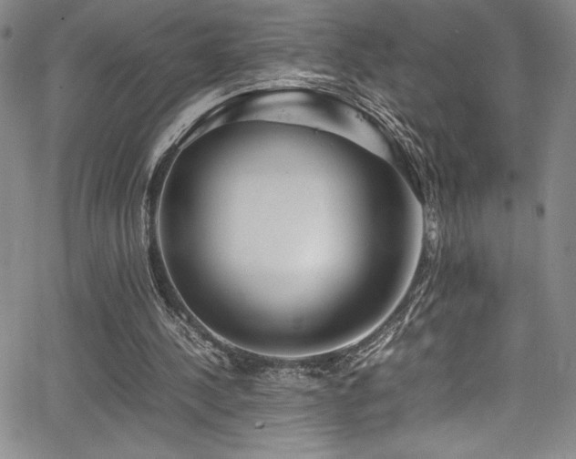 X0000064060244200601271259