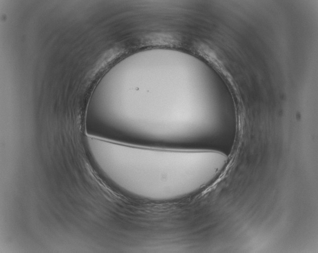 X0000064060249200601271259