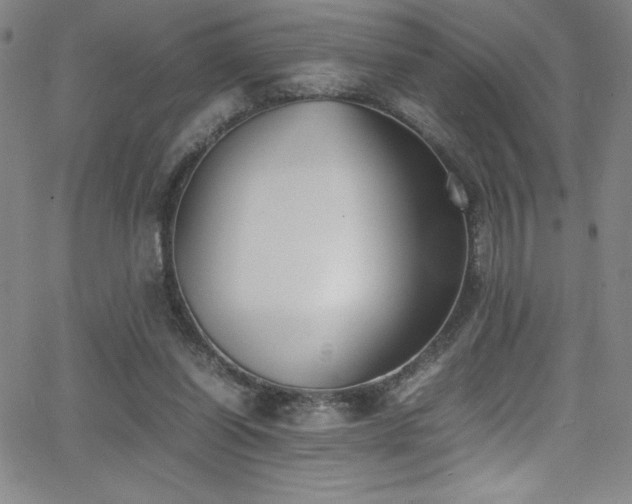 X0000064060254200601271259