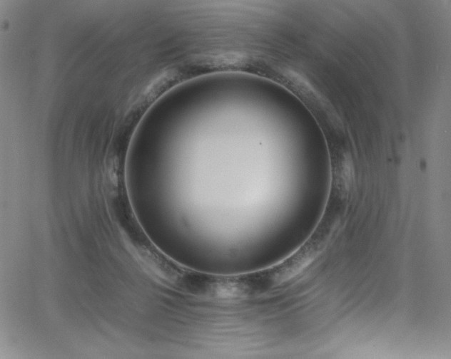 X0000064060264200601271259