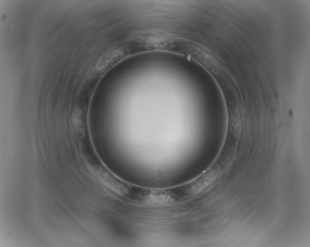 X0000064060270200601271259