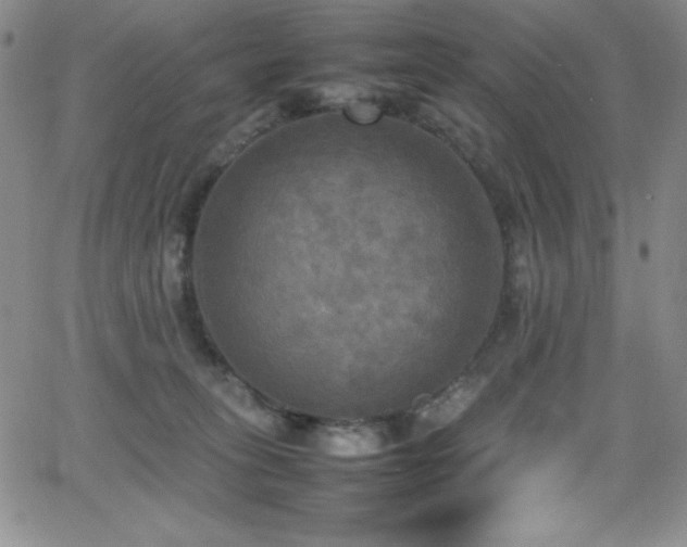 X0000064060275200601271300