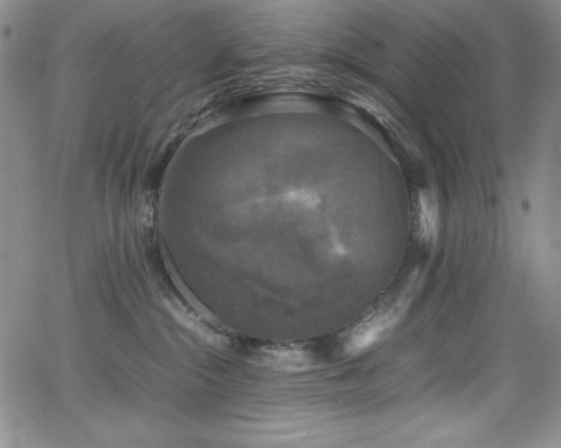 X0000064060284200601271300