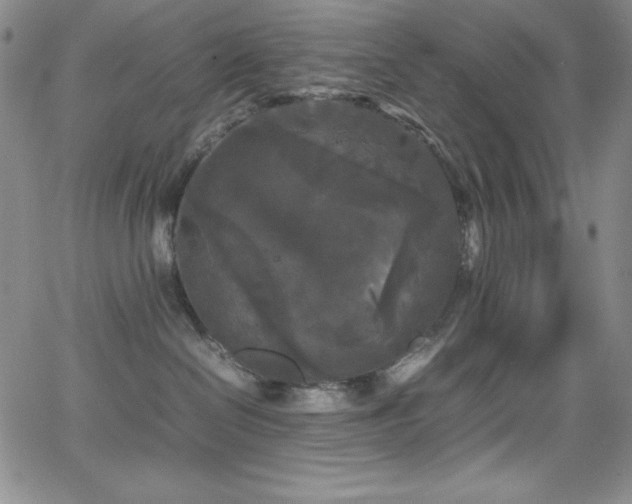 X0000064060286200601271300