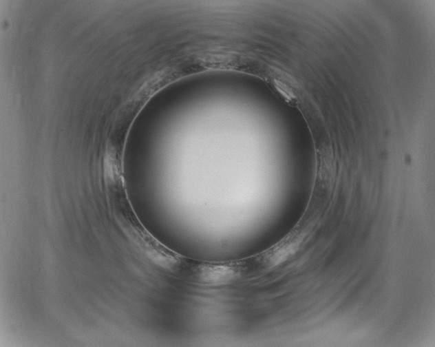 X0000064060287200601271300
