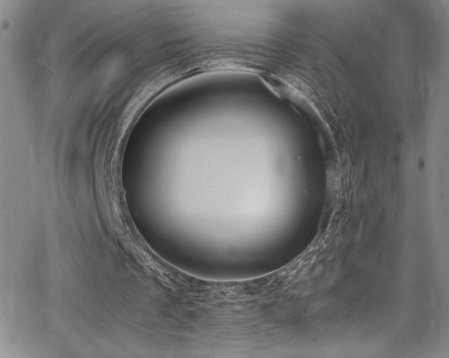 X0000064060289200601271259