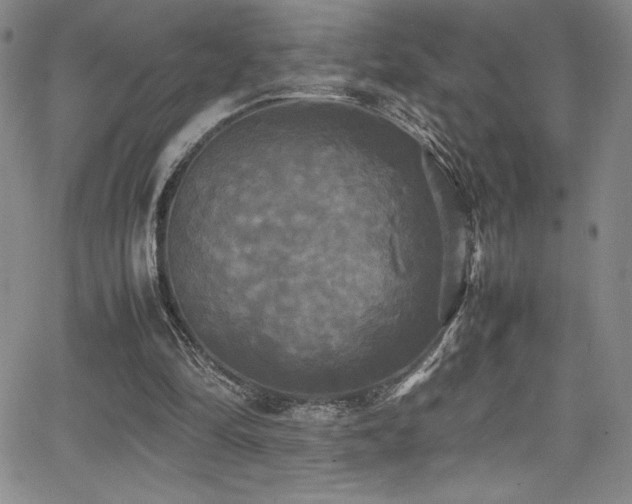 X0000064060294200601271259