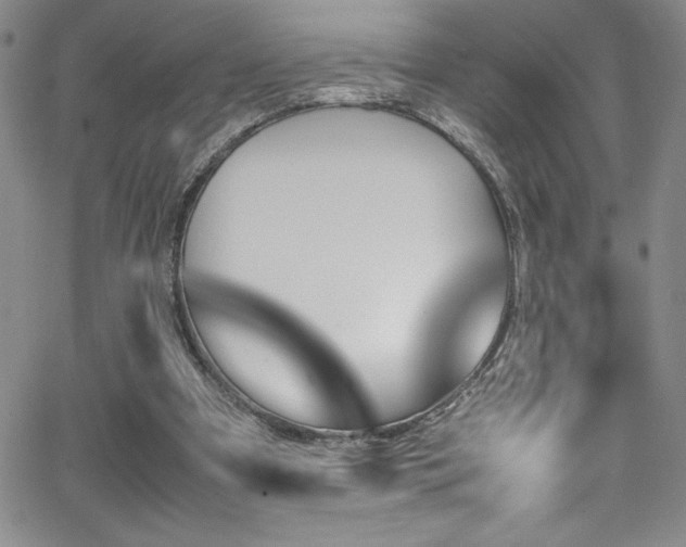 X0000064060297200601271259