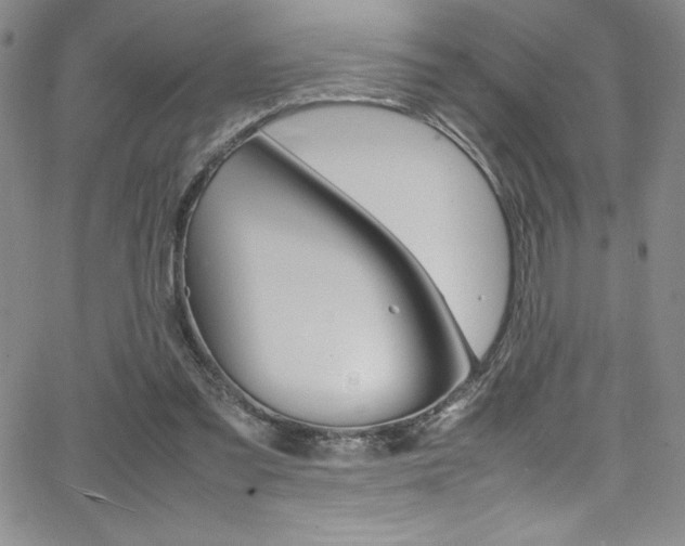 X0000064060301200601271259