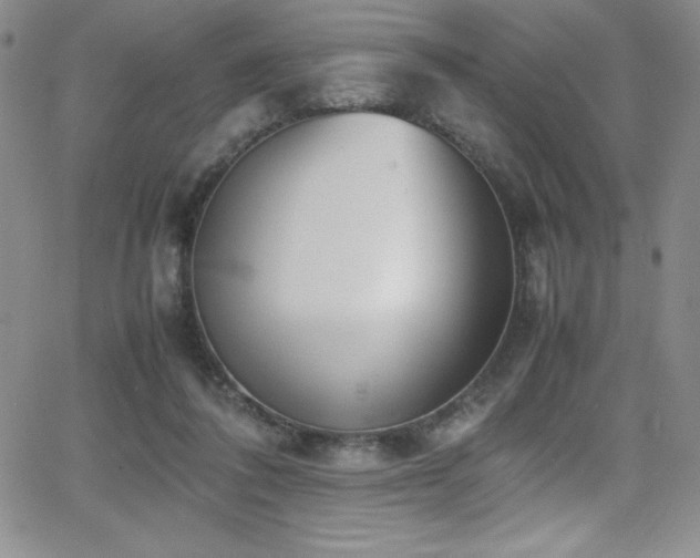 X0000064060308200601271259
