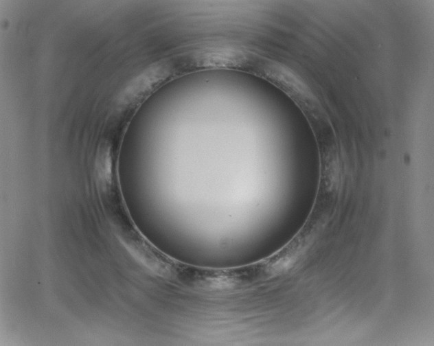 X0000064060310200601271259