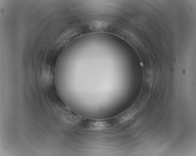 X0000064060324200601271258