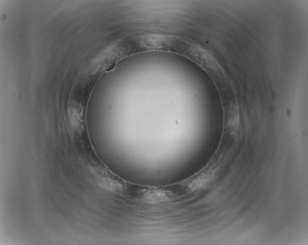 X0000064060332200601271258