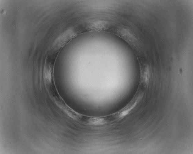 X0000064060334200601271258