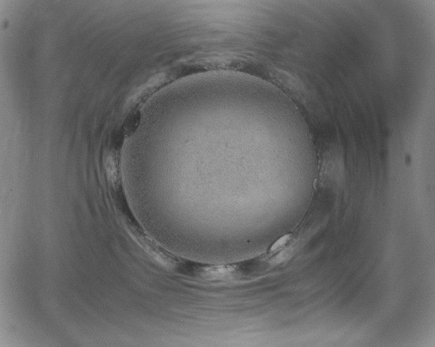 X0000064060335200601271258