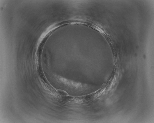 X0000064060343200601271258