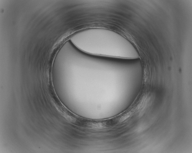 X0000064060349200601271258