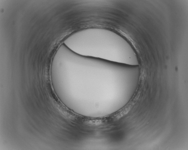 X0000064060353200601271258