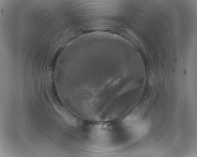 X0000064060366200601271258