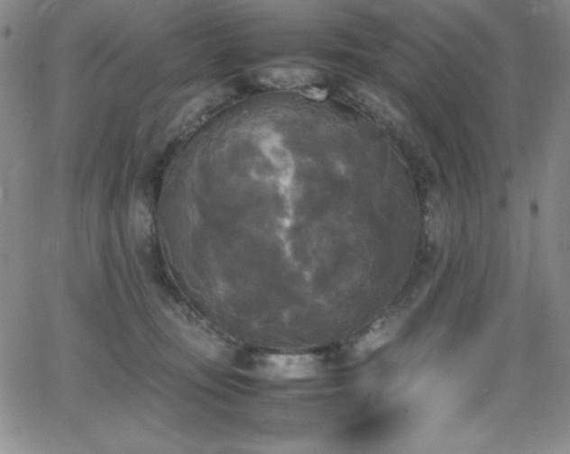 X0000064060371200601271258