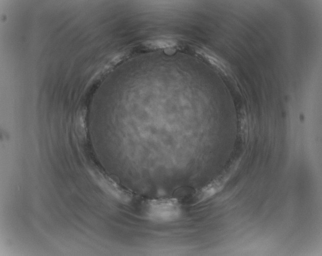 X0000064060373200601271258