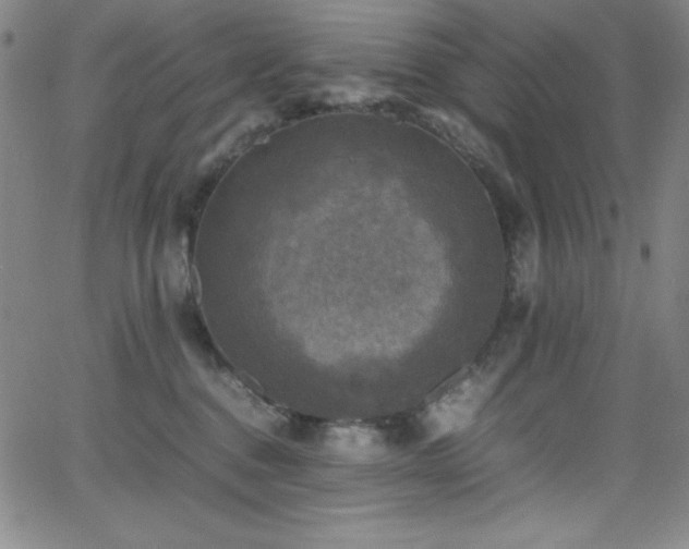 X0000064060376200601271258