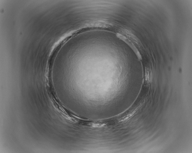 X0000064060388200601271257